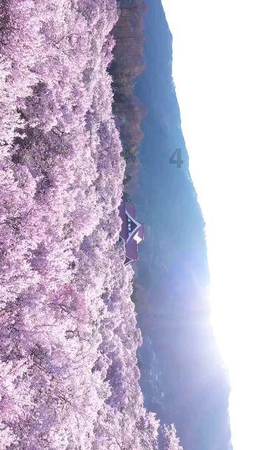 如果正想辞职的时候被开除，是什么样的体验？你能接受吗？游戏画面