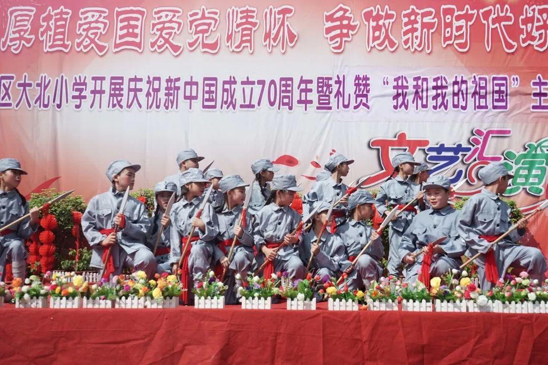 适合饲养的鲨鱼品种有哪些？